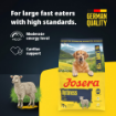 Josera Optiness with Chicken and Lamb for medium to large breed dogs with Cardiac and Joint support product features