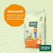 Green Petfood Red Lentil complete vegetarian dog food for dogs with sensitive digestion