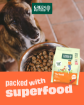 Green Petfood Red Lentil complete vegetarian dog food for dogs with sensitive digestion - packed with superfood