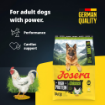 Josera High Protein Adult Chicken for active working and sporting dogs product features