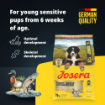 Josera Junior SensiJunior  for active puppies and junior dogs for healthy digestion and lots of energy product benefits