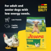 Josera Senior Balance complete dry dog food with lower protein and low fat product features