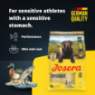 Josera Adult SensiAdult for active adult dogs for healthy digestion with lots of energy product benefits