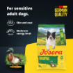 Josera Adult SensiPlus gluten-free complete food for dogs with sensitive digestion  product benefits