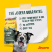 Josera Junior YoungStar complete grain-free food for puppies and junior dogs with salmon oil no wheat no soy
