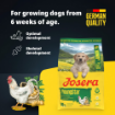 Josera Junior YoungStar complete grain-free food for puppies and junior dogs with salmon oil product benefits