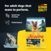Josera High Protein Adult Sea Fish for active working and sporting dogs product benefits
