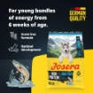 Josera High Protein Junior Sea Fish for active puppies and young dogs product benefits