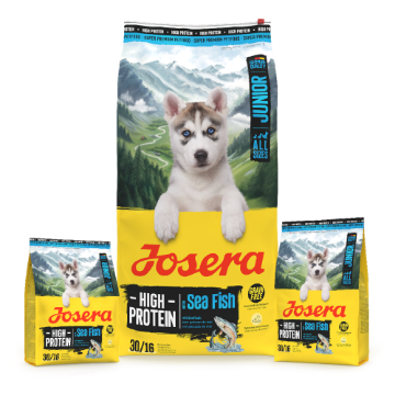 Josera High Protein Junior Sea Fish for active puppies and young dogs Josera High Protein Junior Sea Fish for active puppies and young dogs in 12.5kg, 3kg and 0.9kg bags