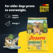 Josera Senior Salmon & Rice complete dry dog food  with lower protein lower fat and  omega-3 product benefits