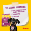 Josera Mini Senior Salmon grain-free complete dry food with single meat protein no wheat no soy