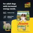 Josera Adult Active Nature complete food with lots of meat for energetic dogs product benefits