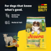 Josera Adult Lamb & Sweet Potato grain free single meat protein complete food for all adult dogs product benefits
