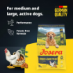Josera Medi/Maxi Adult Chicken & Sweet Potato grain-free food for medium to larger dogs product benefits