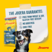 Josera Adult Hypoallergenic grain-free single insect meat protein complete food for all adult and senior dogs no wheat no soy