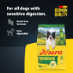 Josera Adult Hypoallergenic grain-free single insect meat protein complete food for all adult and senior dogs product benefits