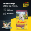 Josera Mini Junior Duck & Salmon gluten free complete food for small breed puppies and adults product benefits