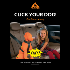 Picture for category Safety