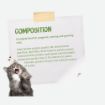 Josera Kitten Grainfree complete cat food for pregnant and lactating cats ingredients