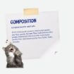 Josera DailyCat complete cat food grain-free with poultry ingredients