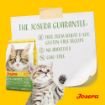 Josera Kitten Grainfree complete cat food for pregnant and lactating cats special properties no wheat no soy guarantee