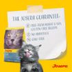 Josera Leger complete cat food with reduced energy content no wheat no soy guarantee