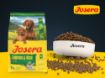 Josera Mother and Puppy Salmon and Rice breeding food for pregnant or nursing dogs and puppies with kibble bowl