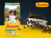Josera All Sizes Adult Chicken & Rice with lots of meat and Immune Plus for all dog sizes kibble and bowl